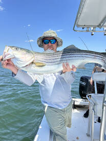 Marshfield Report Photo 1