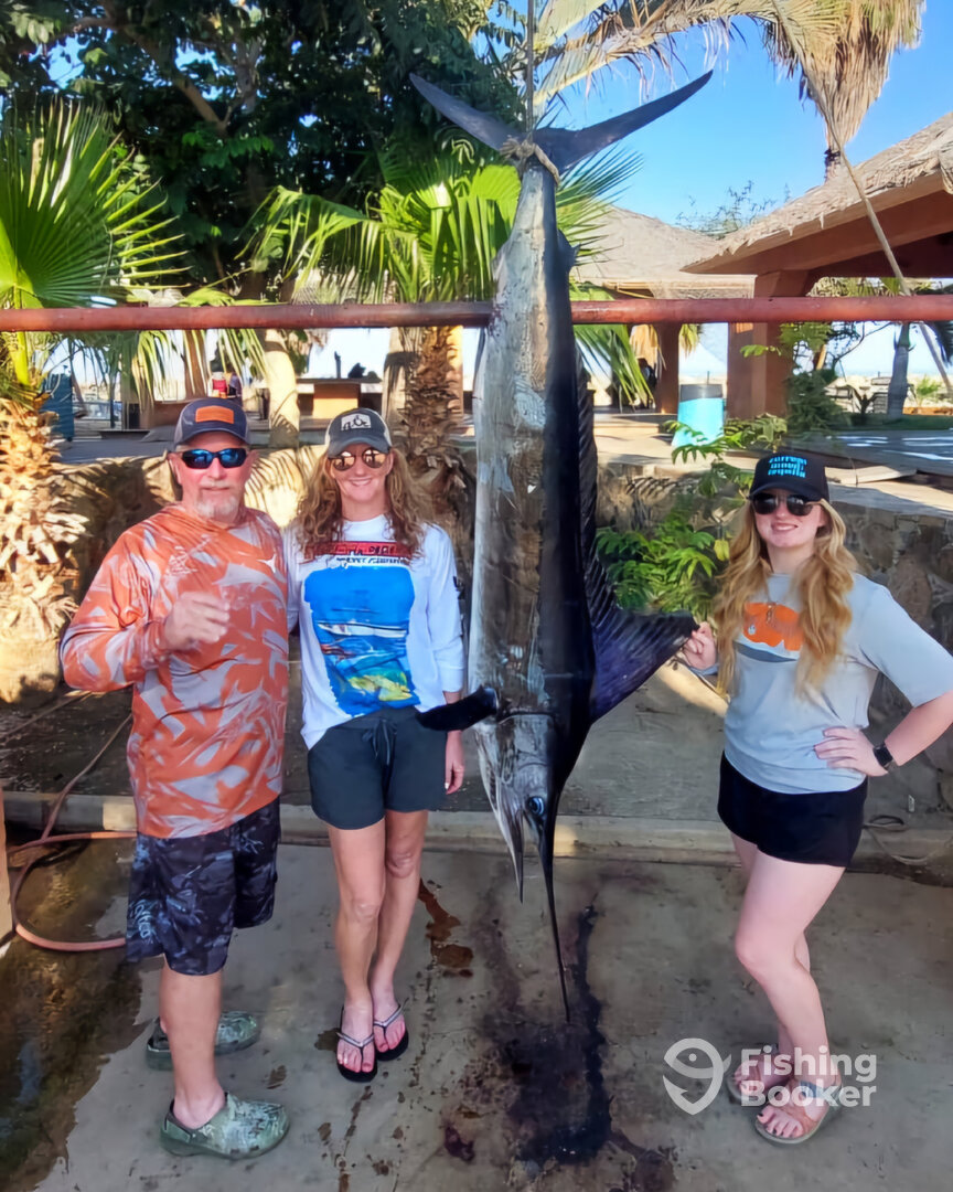 San Jose del Cabo Report Photo 0