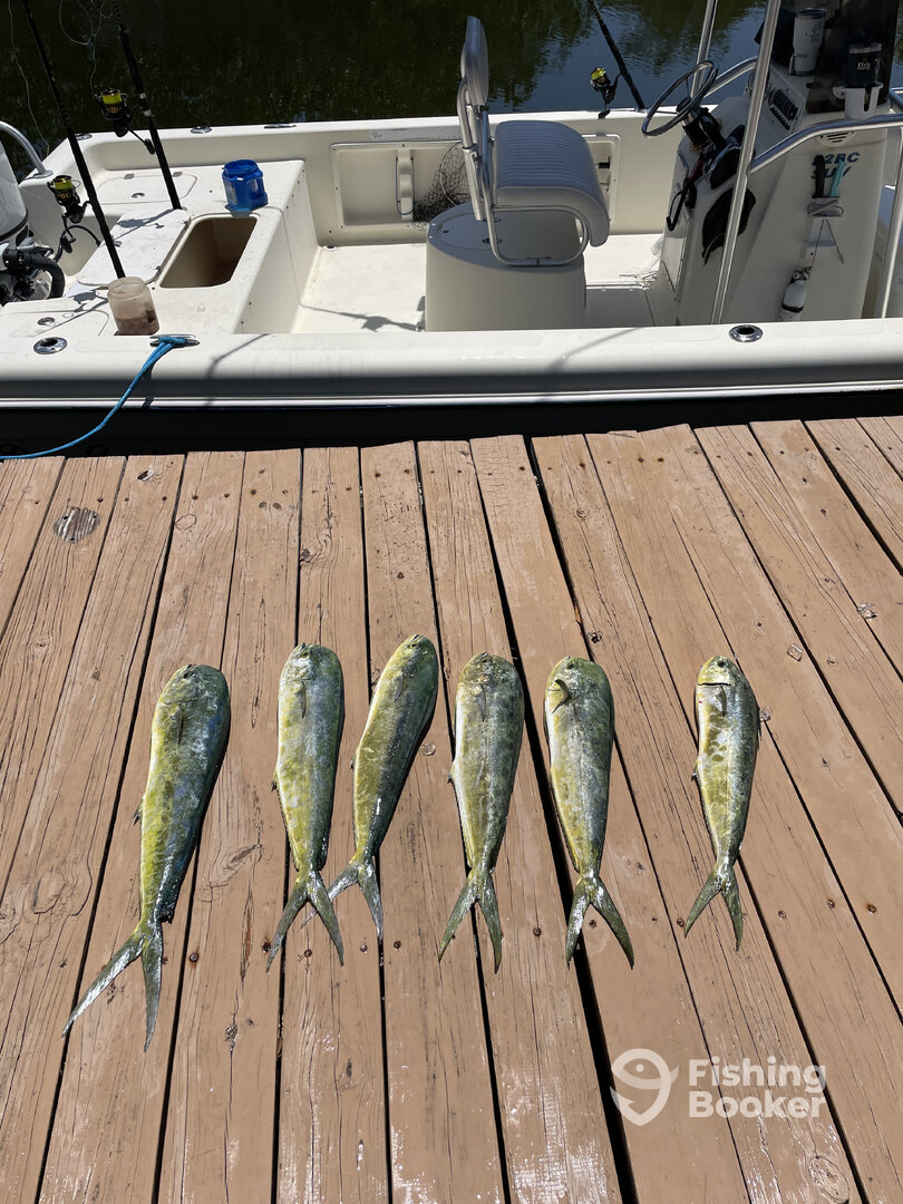 Key Largo Report Photo 0