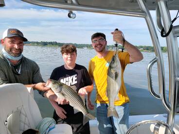 Striper bite has been on fire  