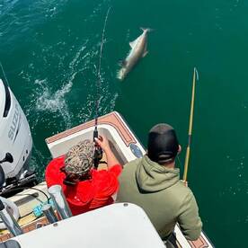 Wanchese Report Photo 2