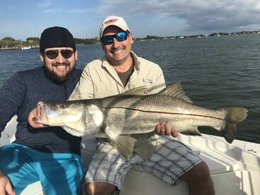 Strong Snook Bite in Stuart
