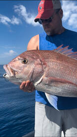 Full da trip targeting snappers with liv