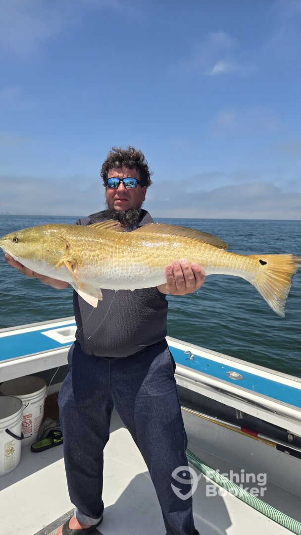 Virginia Beach Report Photo 0