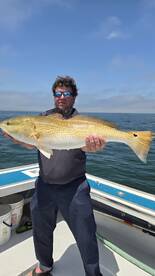 Red Drum and Mackerel