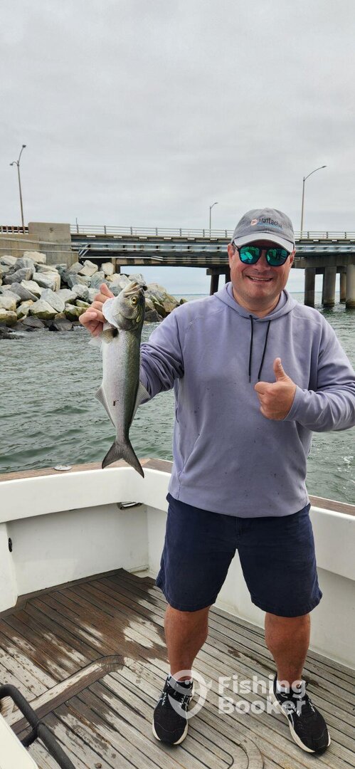 Norfolk Report Photo 0