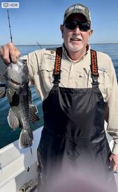 Great White Shark alongside while Sea Ba