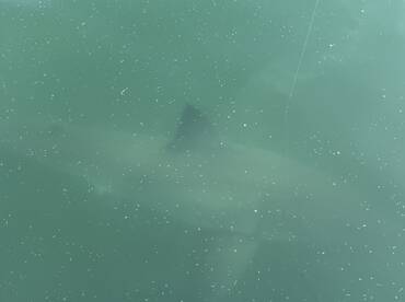 Falmouth Report Photo 2