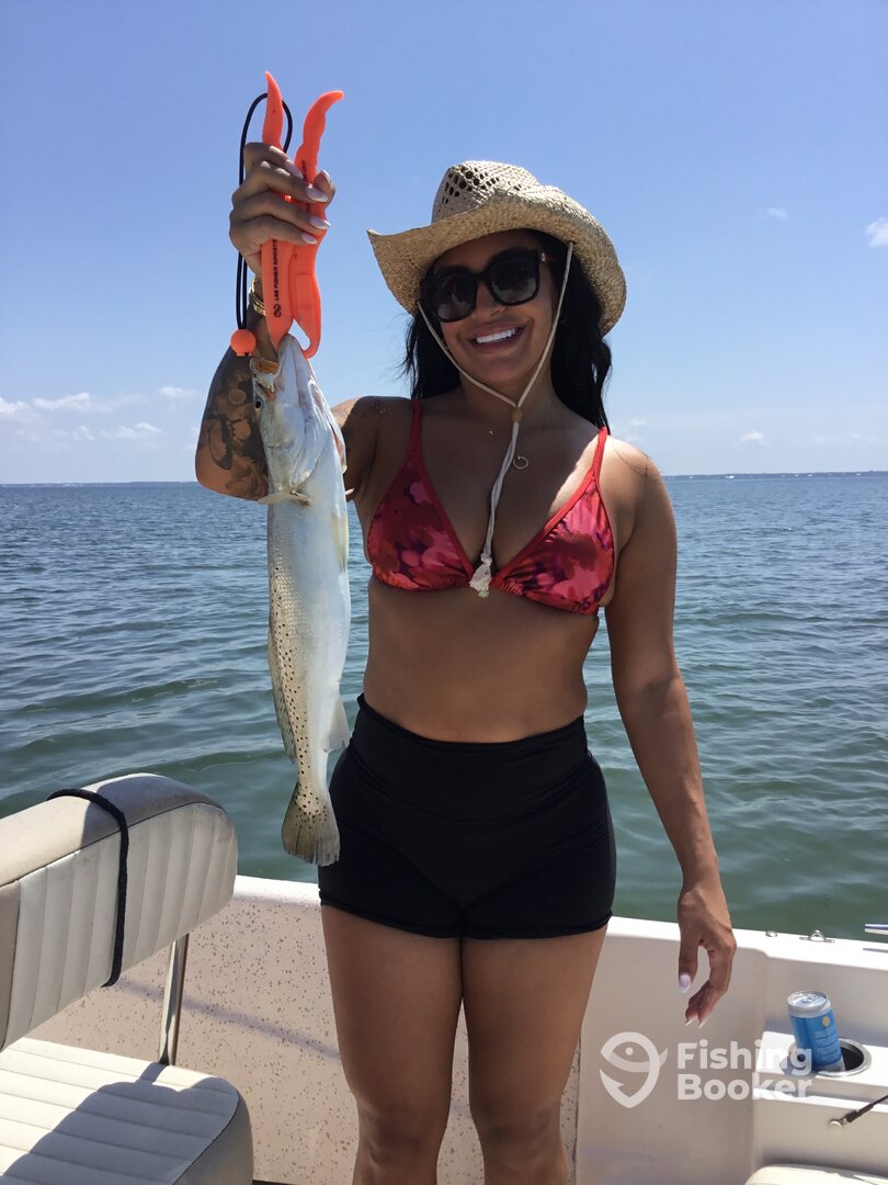 Port St. Joe Report Photo 0