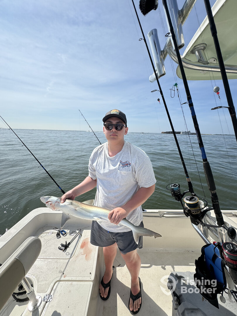 Mount Pleasant Report Photo 0