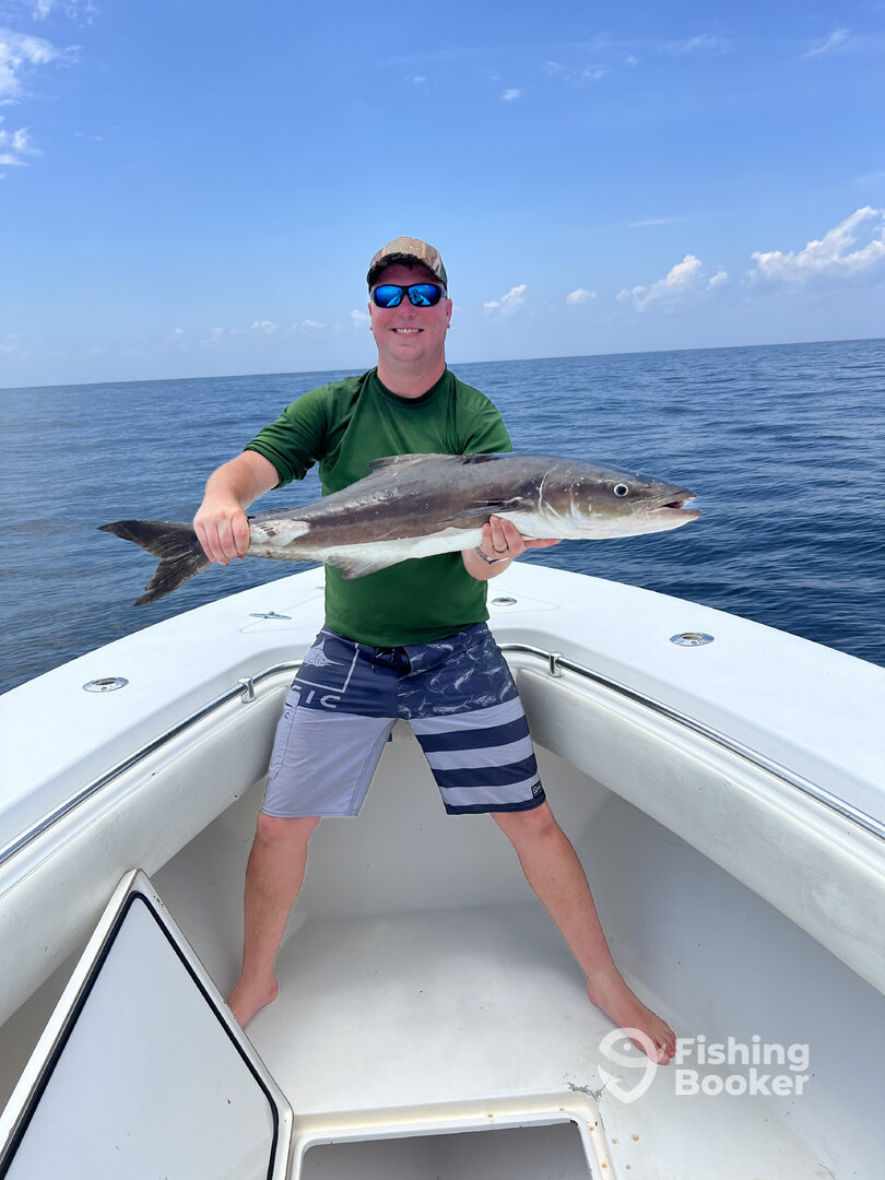 Fernandina Beach Report Photo 0