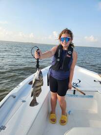 Empire Report Photo 2