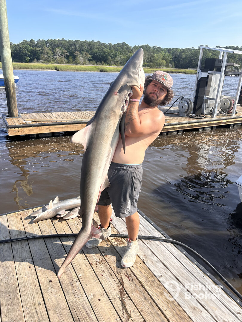 Little River Report Photo 0