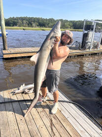 The sharks are chewing. 5/26/2024