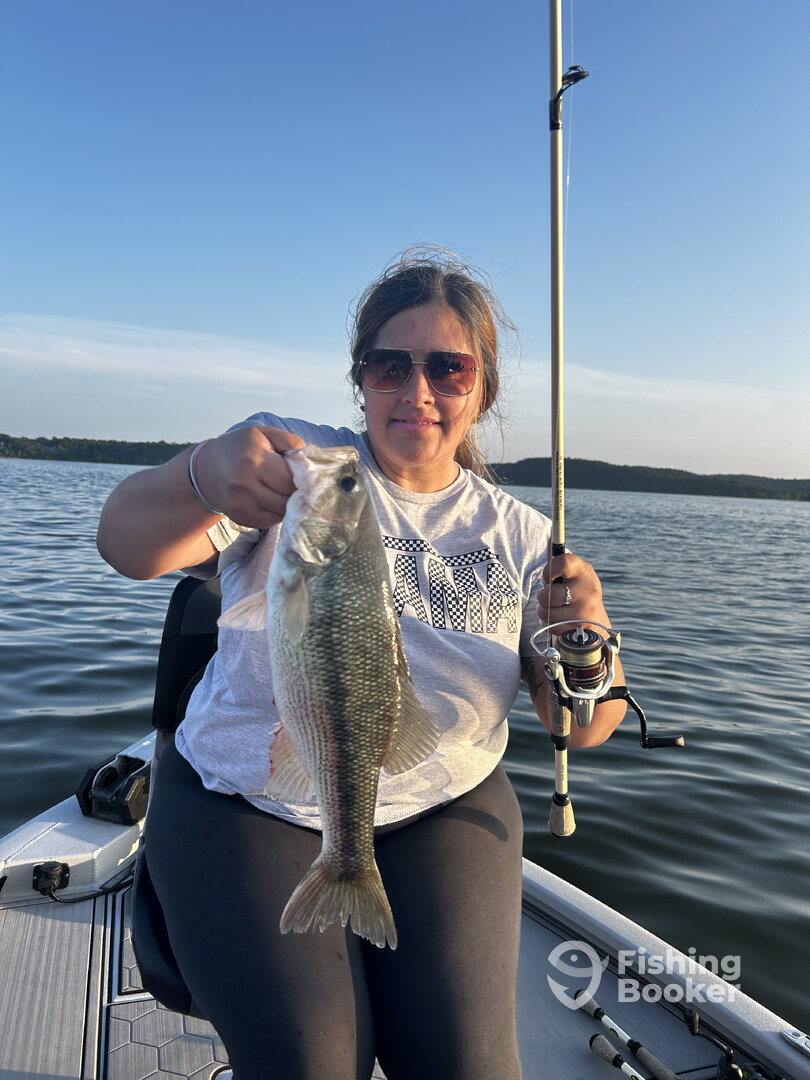 Branson Report Photo 0