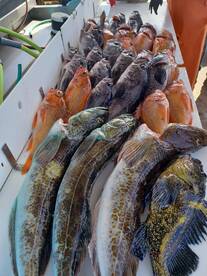 another day on bigbite