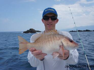 Quepos Report Photo 1