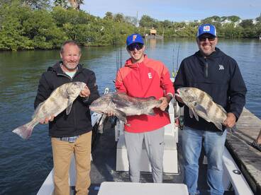 Tug of War!!! Tug on it!!!