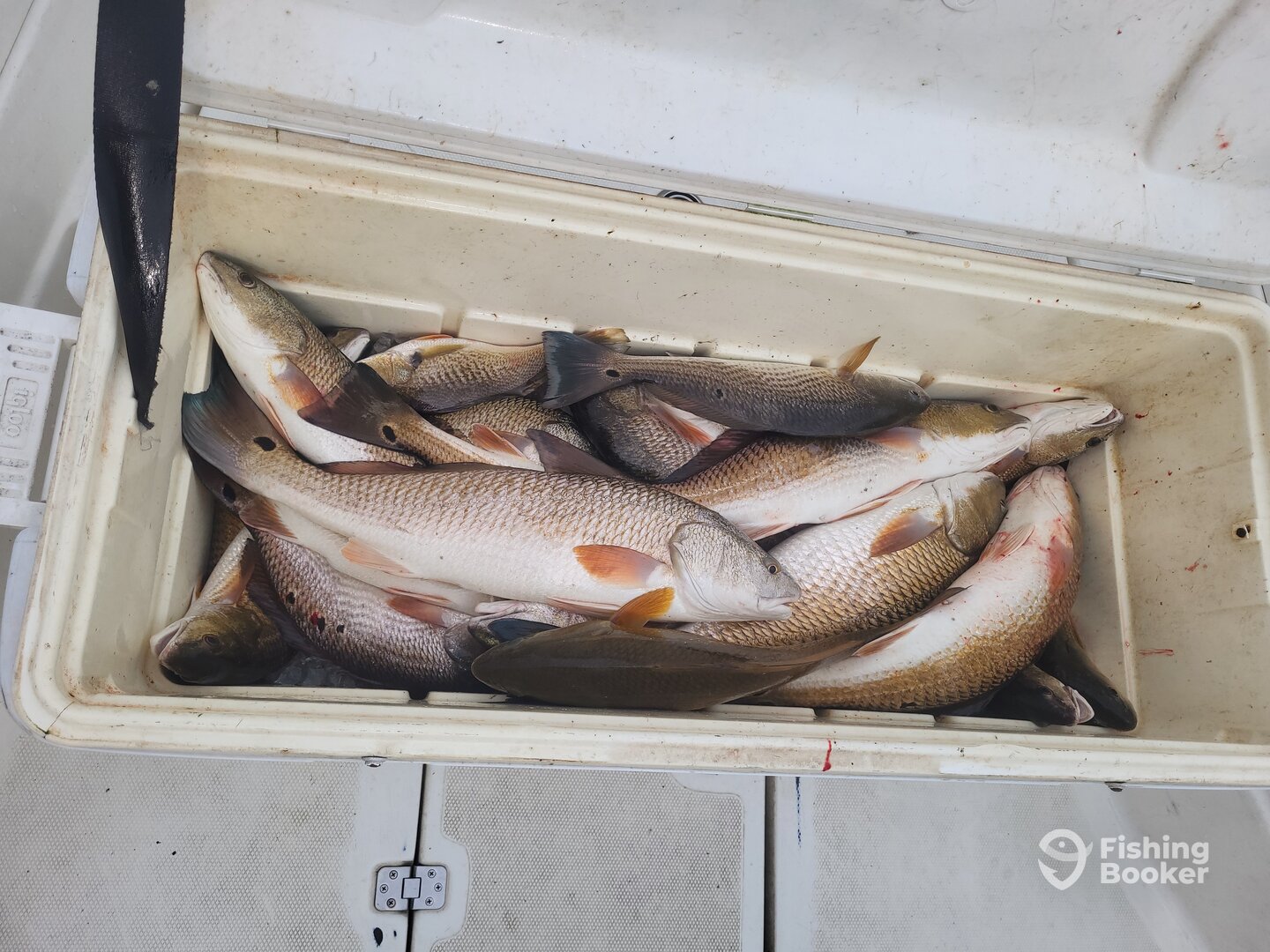 Sulphur Report Photo 0