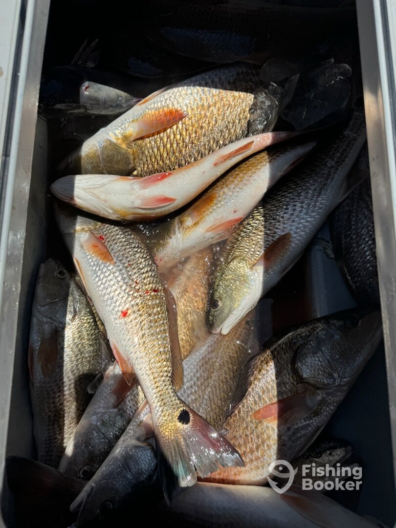 Sulphur Report Photo 0