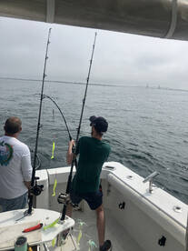 New York City Report Photo 1