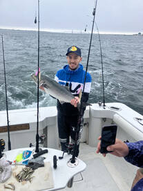 New York City Report Photo 2