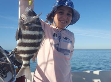 Fish For Everyone!