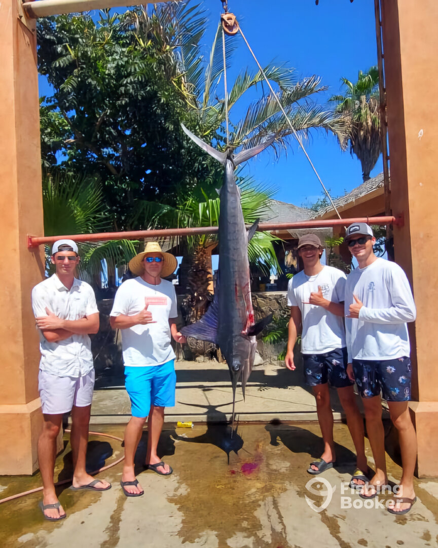 San Jose del Cabo Report Photo 0