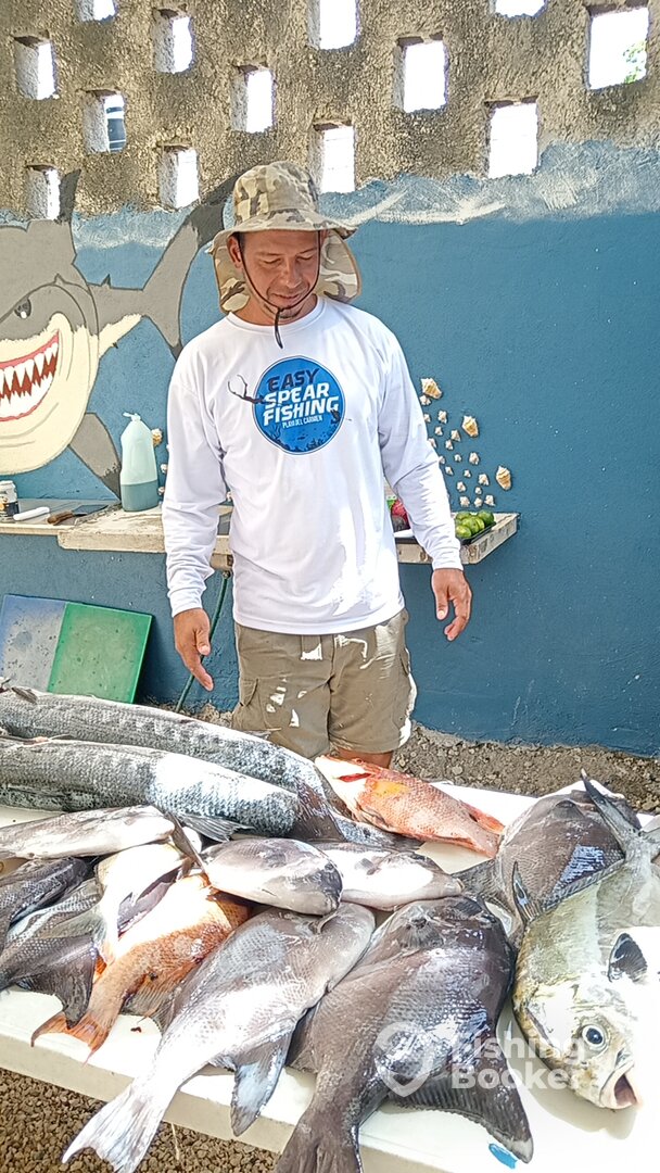 Playa Del Carmen Report Photo 0