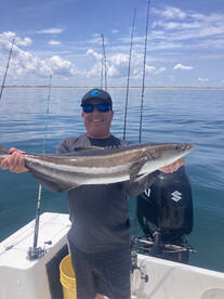 Cobia fishing
