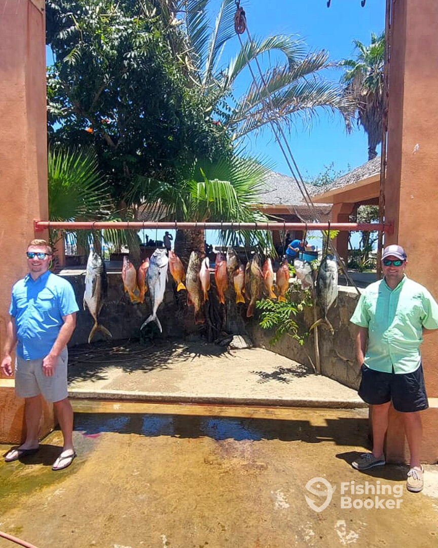 San Jose del Cabo Report Photo 0