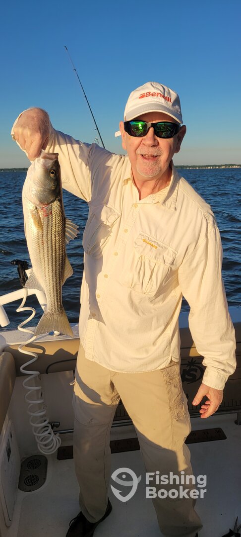 Pasadena Report Photo 0