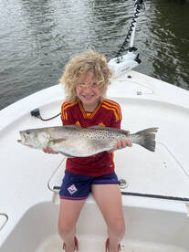 Newport Report Photo 1