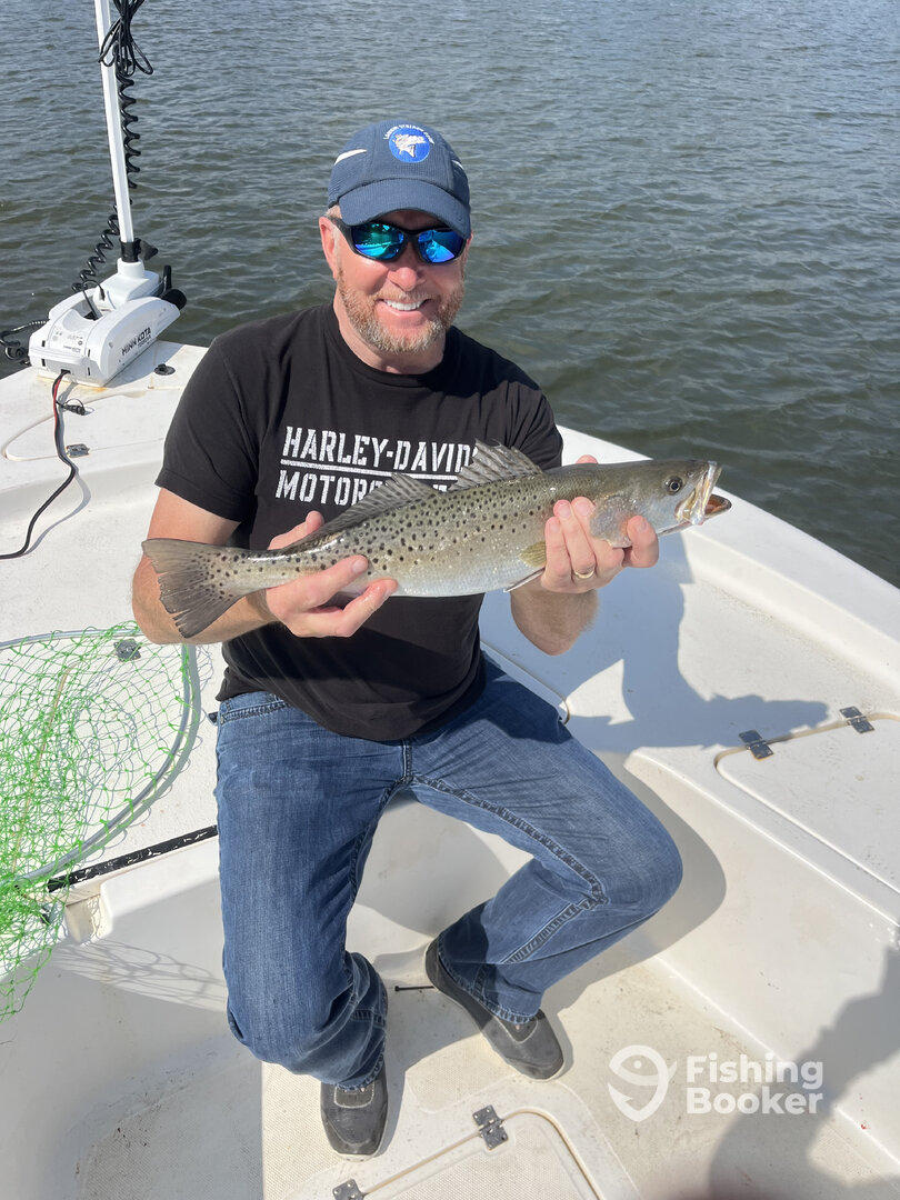 Newport Report Photo 0