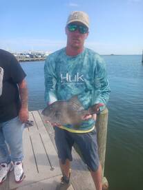 Manteo Report Photo 1