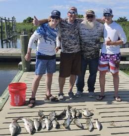 New friends everyday ! 