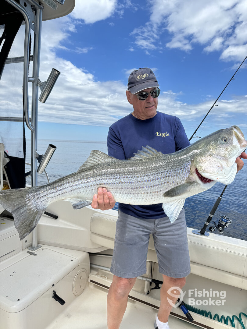 Marshfield Report Photo 0