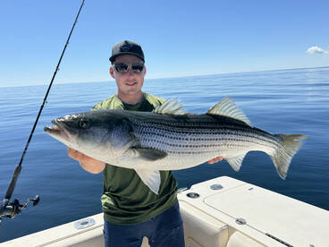 Marshfield Report Photo 1