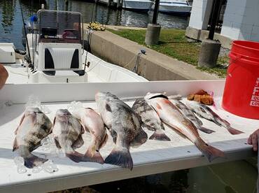 Capt. Leo is wearing them out! 