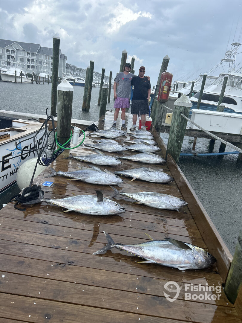 Manteo Report Photo 0