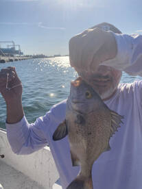 Port Canaveral Report Photo 1