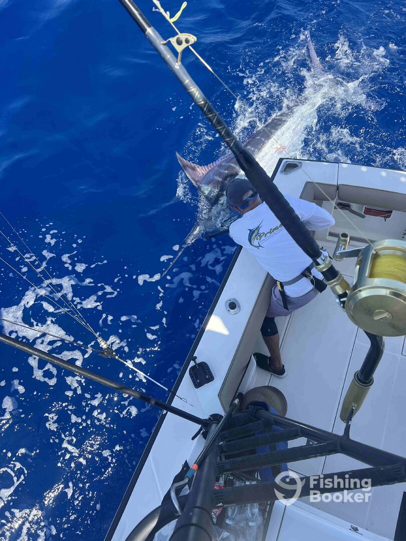 Calheta Report Photo 0