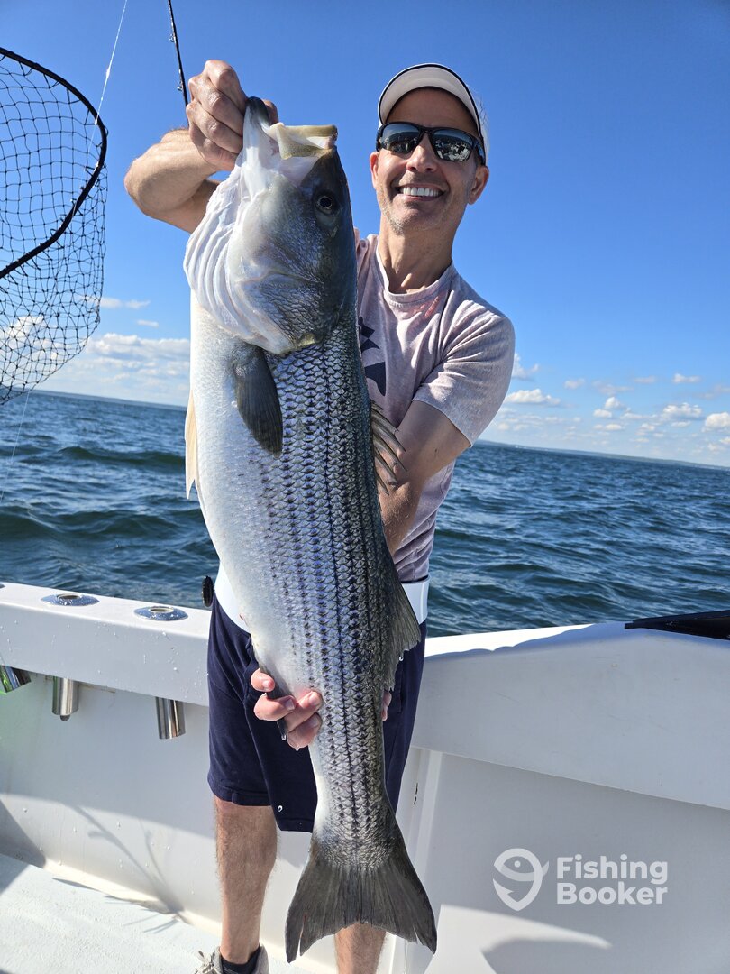 Waterford Report Photo 0