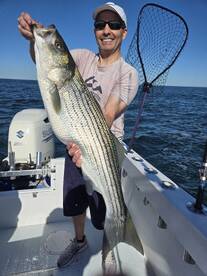 Waterford Report Photo 1