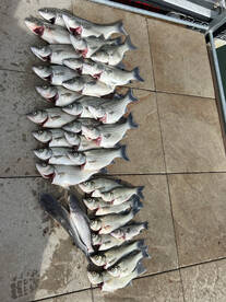 Skiatook Report Photo 2