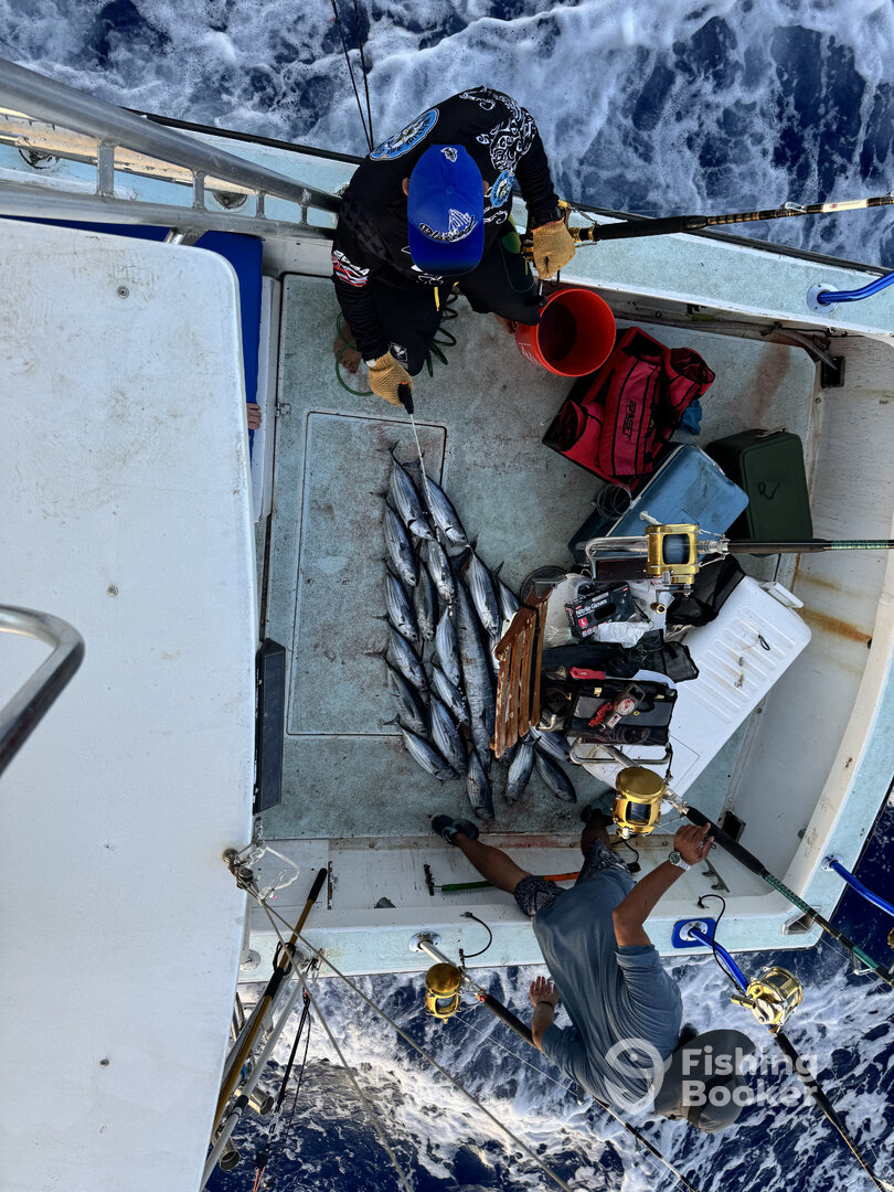 Waianae Report Photo 0