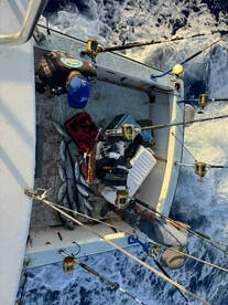 Waianae Report Photo 1