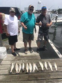 Wanchese Report Photo 1