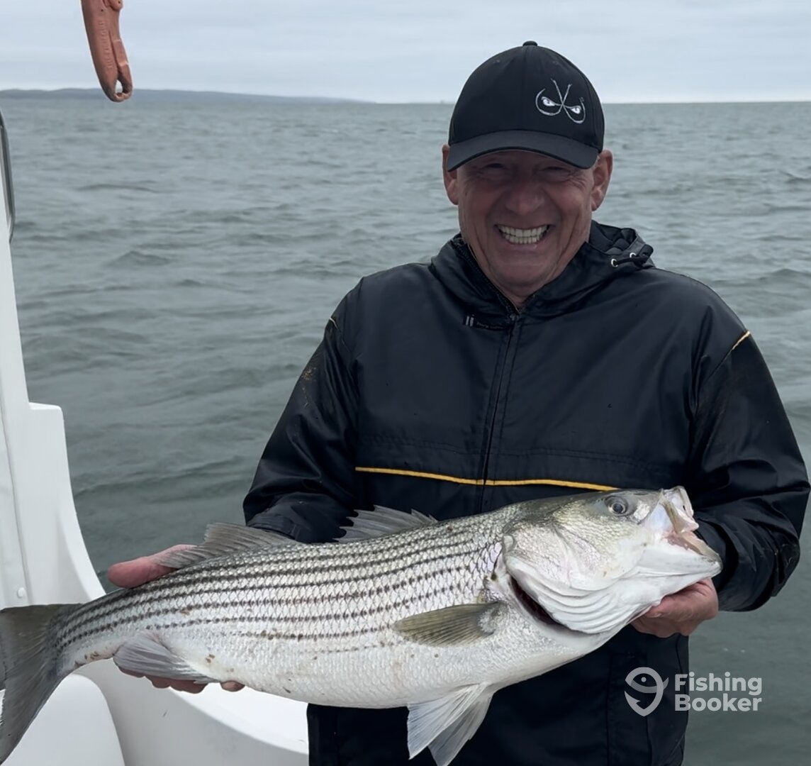 Falmouth Report Photo 0