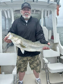 Falmouth Report Photo 2